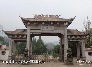 岣嶁峰國家森林公園照片