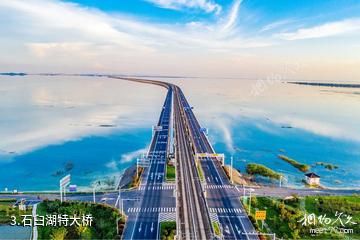 南京天空之镜石臼湖-石臼湖特大桥照片