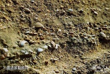 天津古海岸與濕地國家級自然保護區-遺迹照片