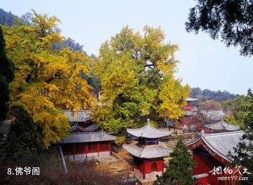 山东灵泉寺-佛爷阁照片