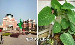 西北农林科技大学驴友相册