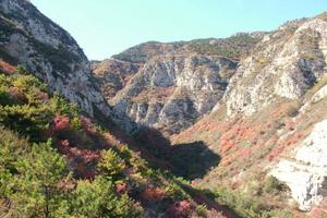 山西太原尖草坪柴村旅遊攻略-柴村街道景點排行榜