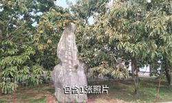 邳州古栗園驢友相冊(cè)