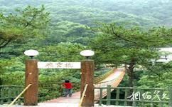 重慶歌樂山國家森林公園旅遊攻略之飛雲橋