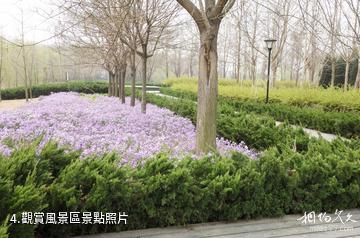 昌邑濰水風情濕地公園-觀賞風景區照片