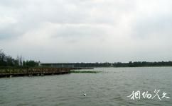 苏州金鸡湖旅游攻略之沙湖生态公园