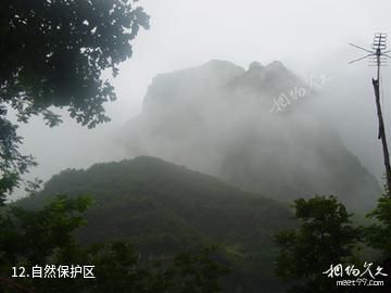 夏津黄河故道森林公园-自然保护区照片