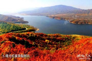 黑龍江森工鳳凰山森林旅遊區-曙光紅葉照片