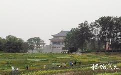 成都蒲江石象湖旅游攻略之石象寺