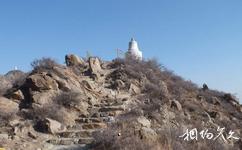 銀川賀蘭山滾鐘口旅遊攻略之喇嘛塔