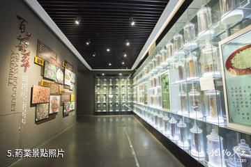 亳州市展覽館-葯業照片