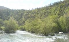 四川王朗國家級自然保護區旅遊攻略之溪流