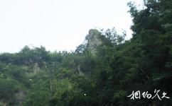 磐安水下孔旅游攻略之寿星岩