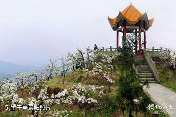 重慶渝北放牛坪景區-望牛亭照片