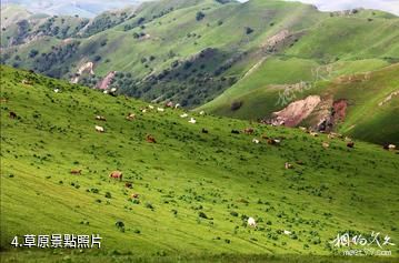 伊犁托乎拉蘇風景區-草原照片