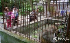 上海金山張堰公園旅遊攻略之猴園