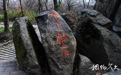 苏州何山公园旅游攻略之张王剑石