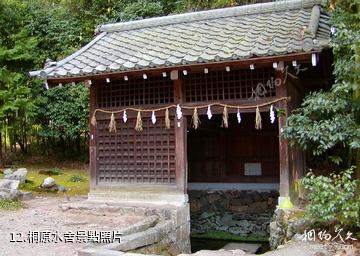 日本宇治上神社-桐原水舍照片