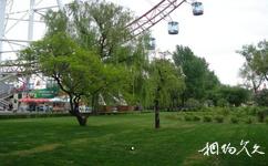 哈尔滨文化公园旅游攻略之游乐园风景