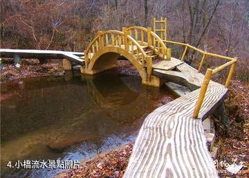 通化市白雞腰國家森林公園-小橋流水照片