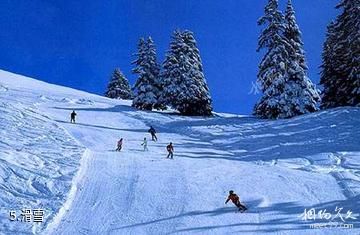 长春莲花山滑雪场-滑雪照片