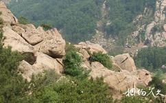 泰安徂徠山國家森林公園旅遊攻略之黃崖頂