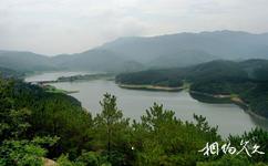 孝昌觀音湖旅遊攻略之千年海豚石