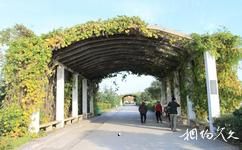 西安杨凌水上体育运动中心旅游攻略之绿色走廊
