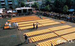 荷兰阿克马乳酪市场旅游攻略之广场
