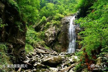 陝西桑園國家級自然保護區-溪流照片