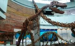 福建博物院旅游攻略之恐龙骨架模型