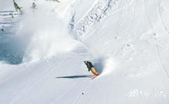 内蒙古阿尔山滑雪场旅游攻略之滑雪