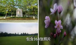 常州青枫公园驴友相册