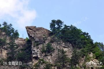 宝鸡太白青峰峡森林公园-金蟾望日照片