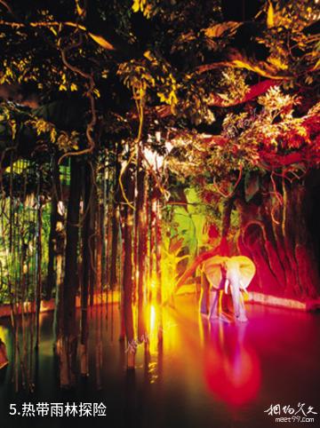 东莞新华南MALL欢笑天地-热带雨林探险照片