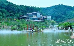 广东神光山国家森林公园旅游攻略之湿地公园