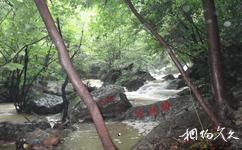 南漳香水河旅游攻略之天然盆景园