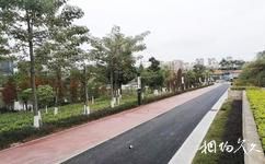 梧州玫瑰湖公園旅遊攻略之城市綠色休閑空間