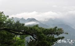 河南小秦岭国家级自然保护区旅游攻略之云海