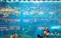 成都蛟龙港海滨旅游攻略之全球最大海洋观景窗