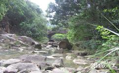 益阳北峰山森林公园旅游攻略之原生态风景