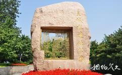 北京皇城根遺址公園旅遊攻略之金石圖