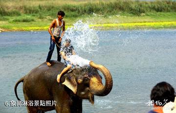 尼泊爾奇特旺國家森林公園-象鼻淋浴照片