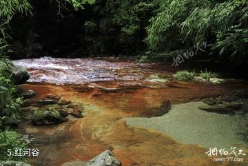 南平武夷源景区-红河谷照片