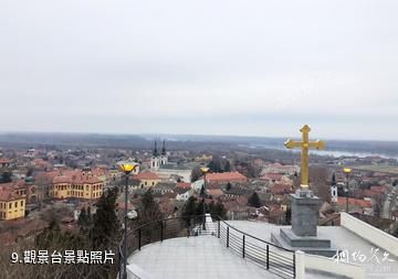 塞爾維亞紅酒小鎮-觀景台照片