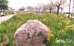 南京莫愁湖公園旅遊攻略之鳶尾園