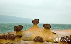 台湾野柳地质公园旅游攻略之蕈状岩