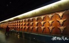 大慶市博物館旅遊攻略之化石