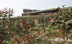 重庆巴南中泰天心佛文化旅游攻略之生态园林