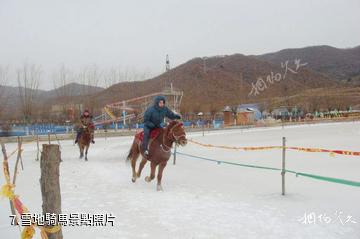 本溪東風湖冰雪大世界-雪地騎馬照片